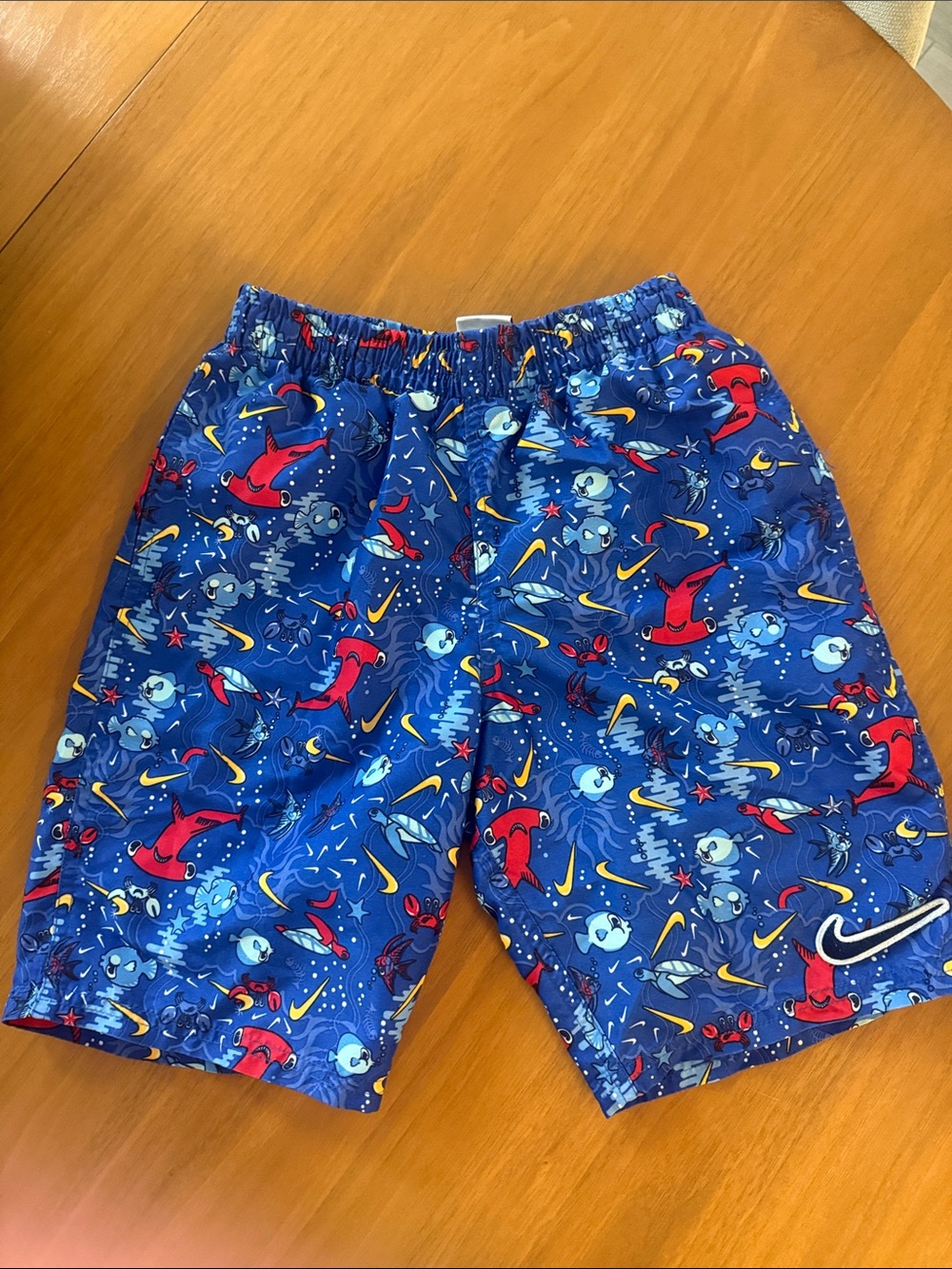 Nike Boys Blue Graphic Swim Shorts 7inch lined. Very good condition